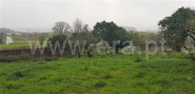 Terreno para Construção  Albergaria-a-Velha, São João de Loure e Frossos - 1248333 - 25