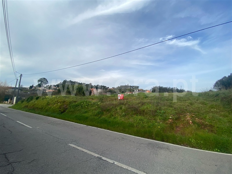 Terreno para Construção / Albergaria-a-Velha, São João de Loure e Frossos
