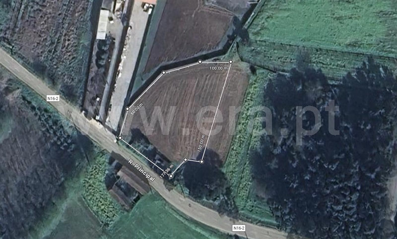 Terreno para Construção  Albergaria-a-Velha, São João de Loure e Frossos - 1450859 - 3