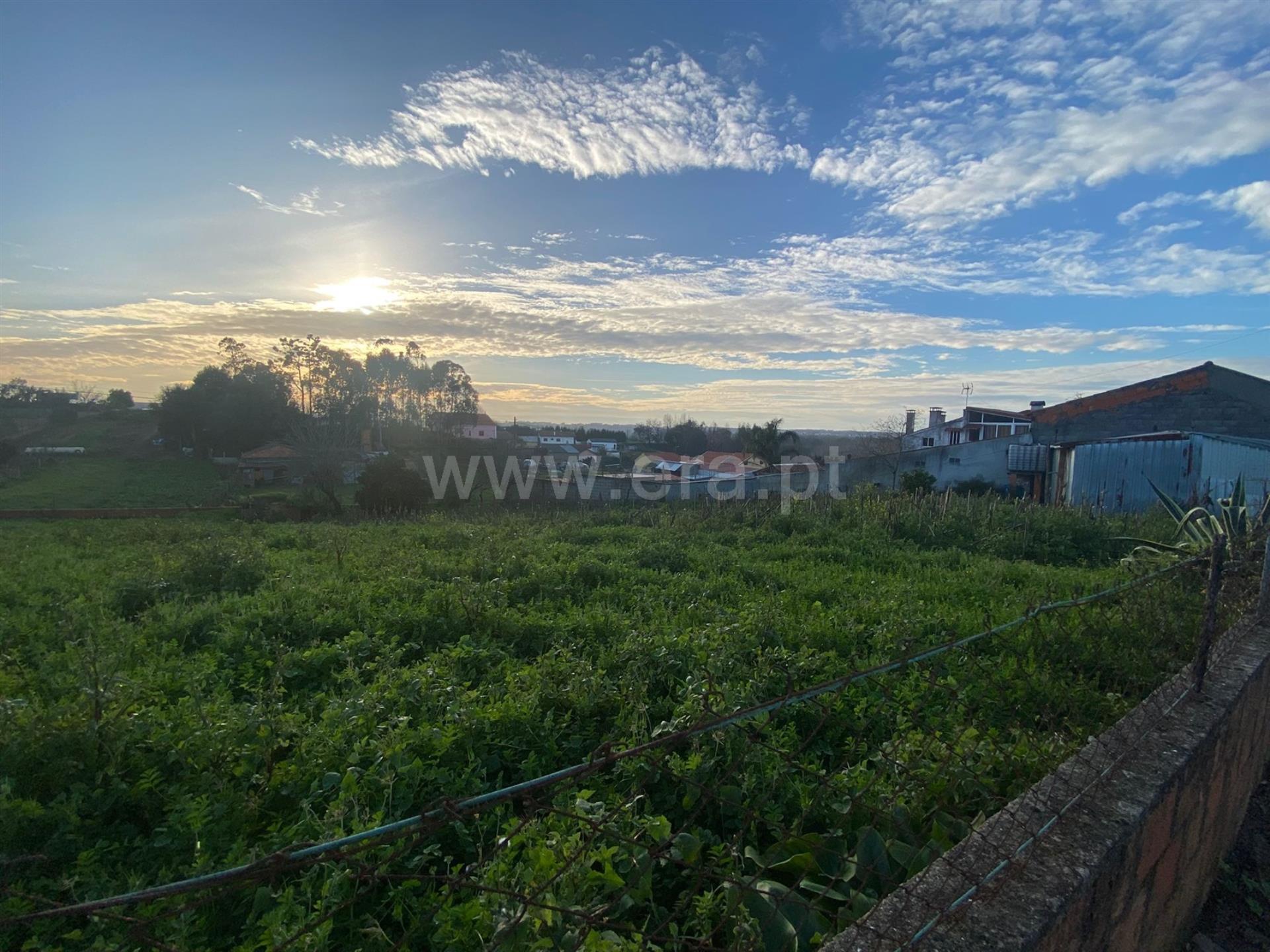 Land for sale in Albergaria-a-Velha, Portugal — €50,000