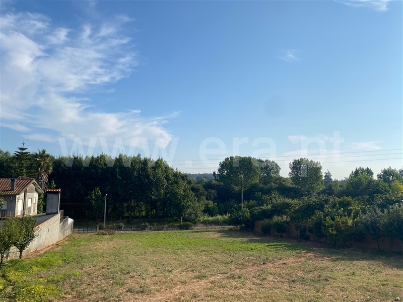 Terreno para Construção / Albergaria-a-Velha, São João Loure