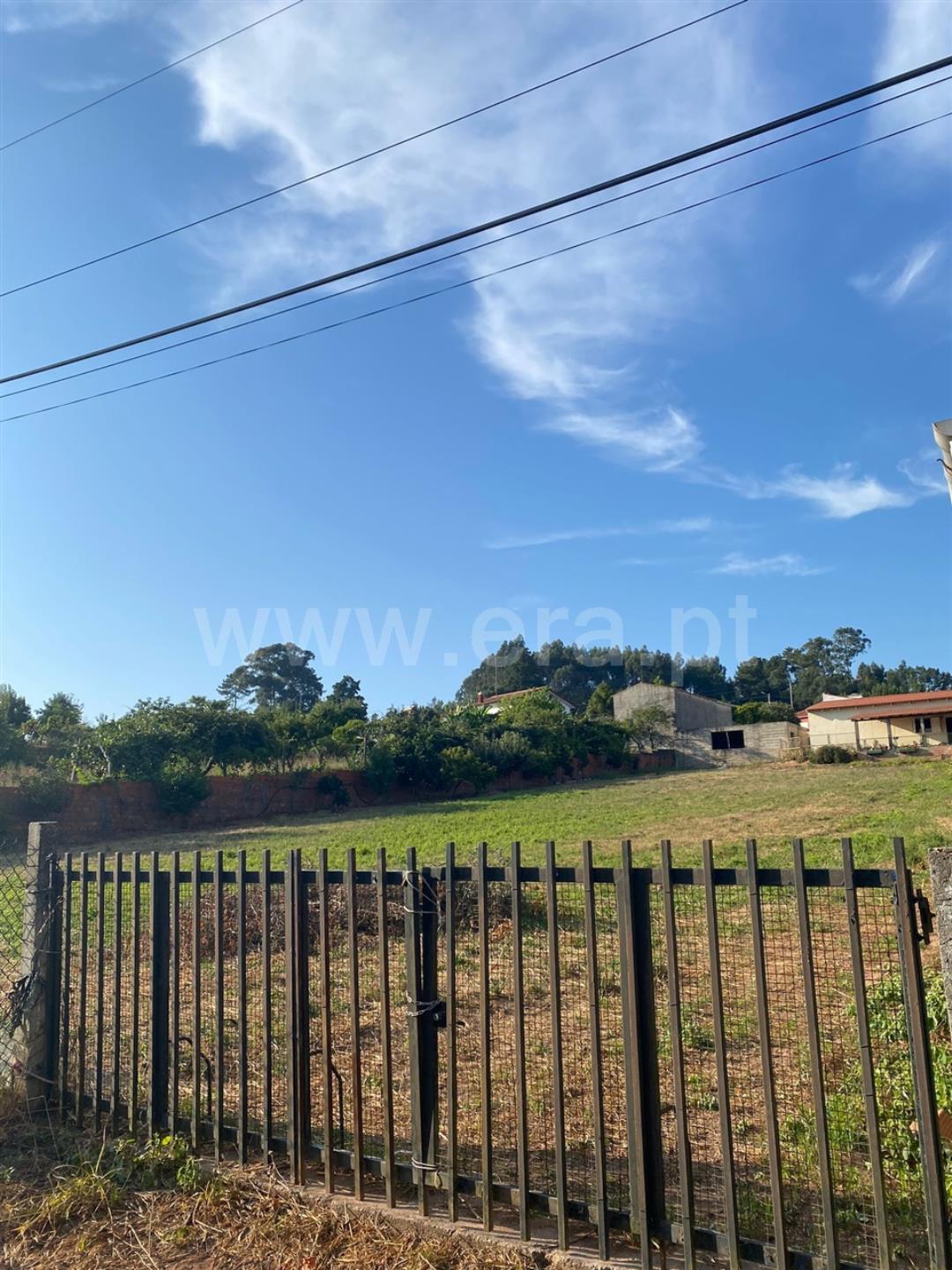 Land for sale in Albergaria-a-Velha, Portugal — €70,000