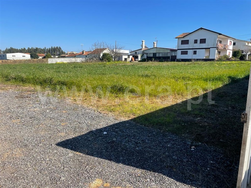 Terreno para Construção / Albergaria-a-Velha, Soutelo