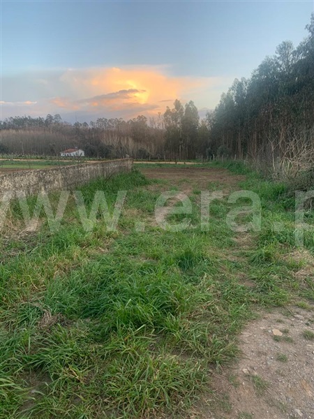 Terreno para Construção / Albergaria-a-Velha, Soutelo