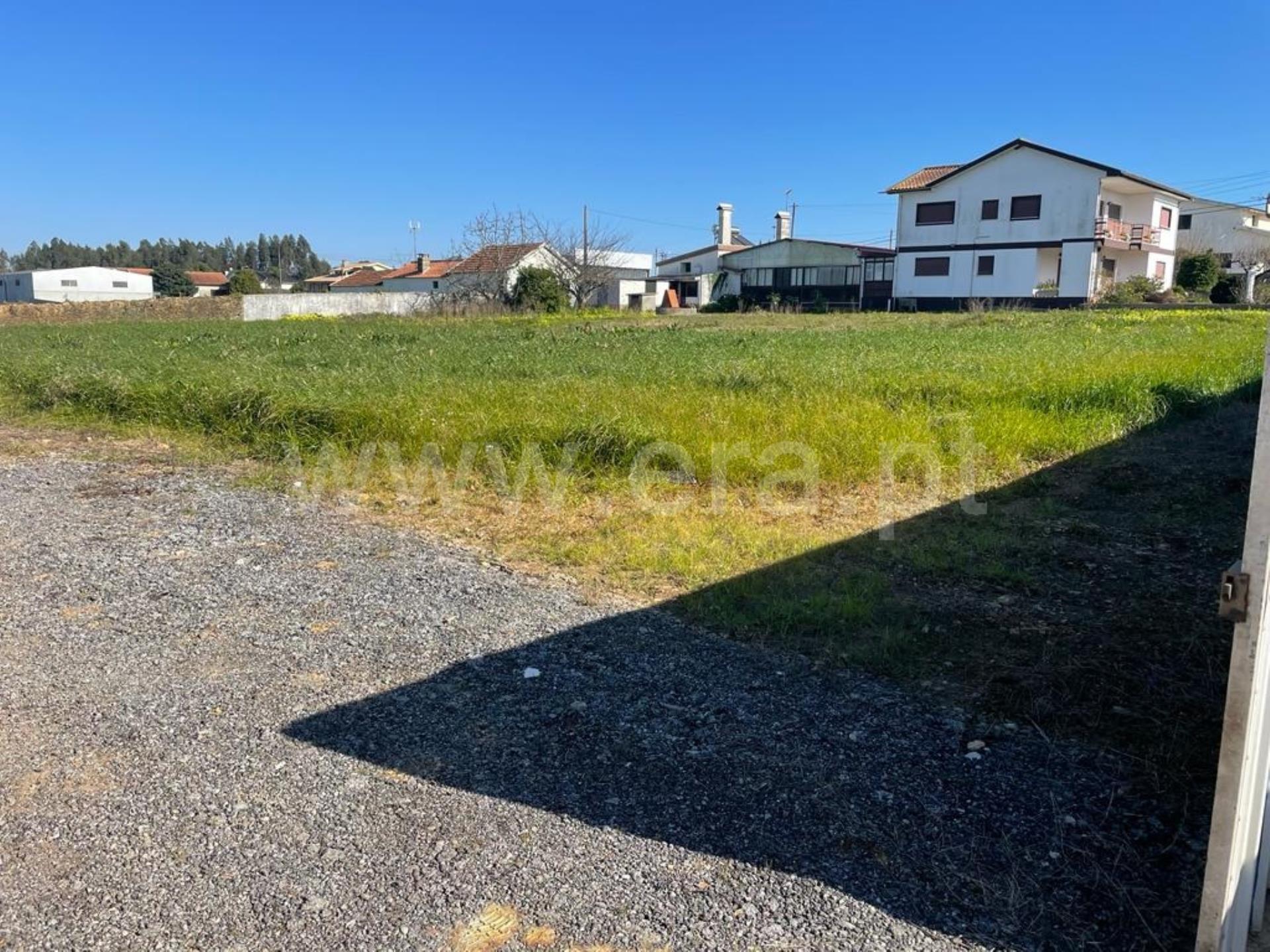 Land for sale in Albergaria-a-Velha, Portugal — €65,400