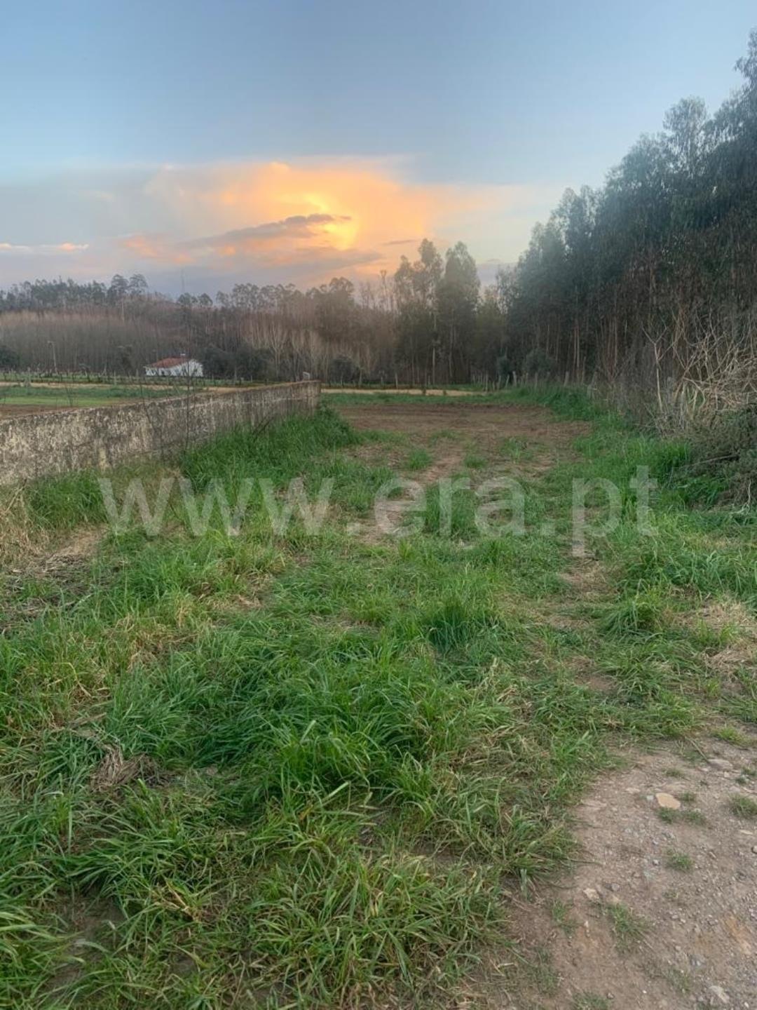 Land for sale in Albergaria-a-Velha, Portugal — €120,000