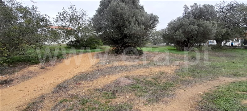 Terreno para Construção / Albufeira, Ferreiras