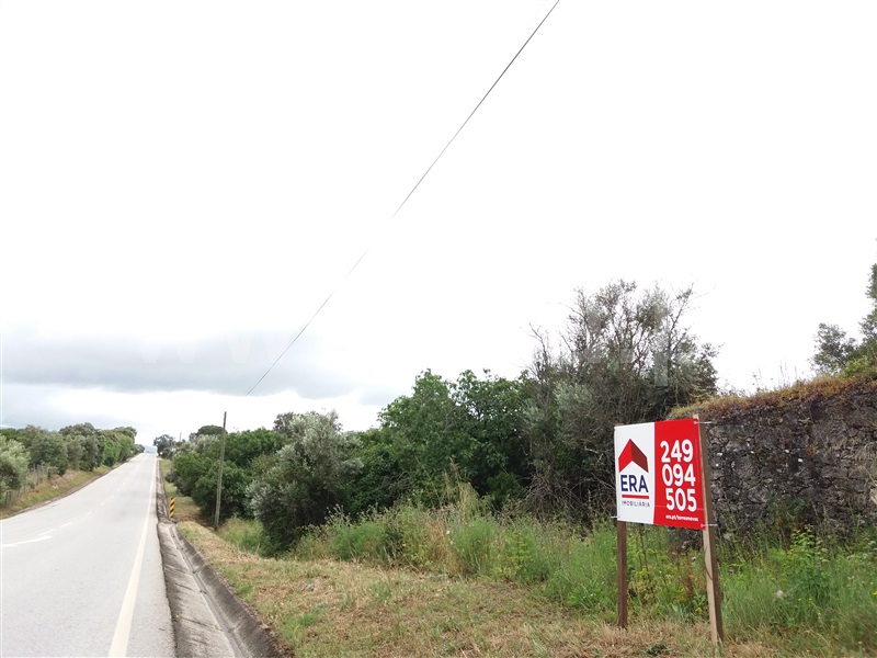Terreno para Construção  Alcanena, Alcanena - 781468 - 3