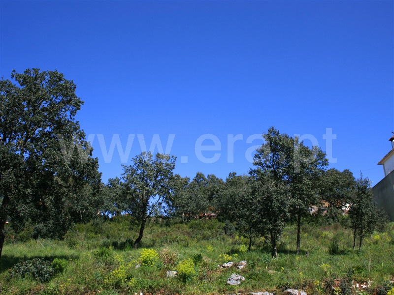Terreno para Construção  Alcanena, Minde - 1474310 - 5