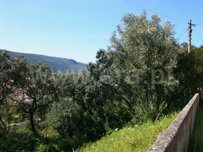 Terreno para Construção  Alcanena, Minde - 1474319 - 7