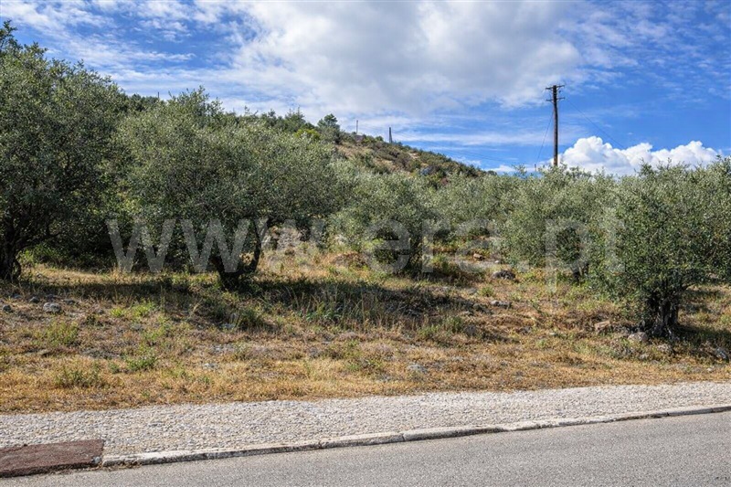 Terreno para Construção / Alcanena, Minde