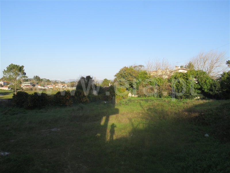 Terreno para Construção  Alcobaça, Benedita - 1225573 - 1