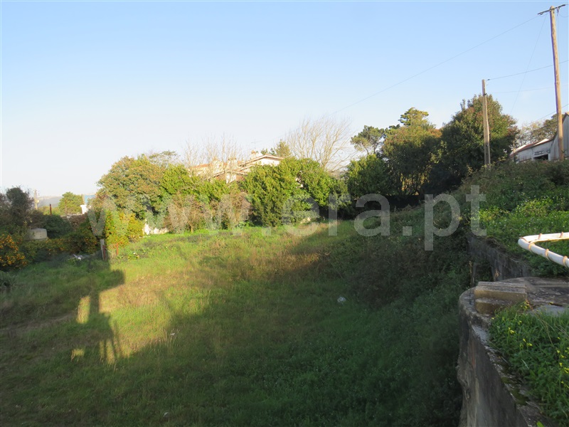 Terreno para Construção  Alcobaça, Benedita - 1225573 - 2