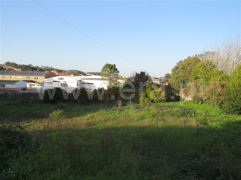 Terreno para Construção  Alcobaça, Benedita - 1225573 - 3