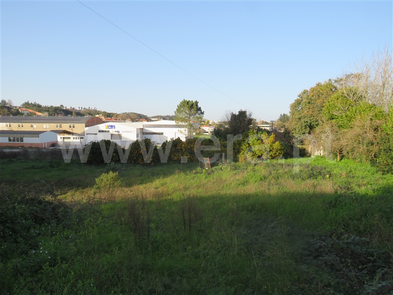 Terreno para Construção  Alcobaça, Benedita - 1225573 - 5