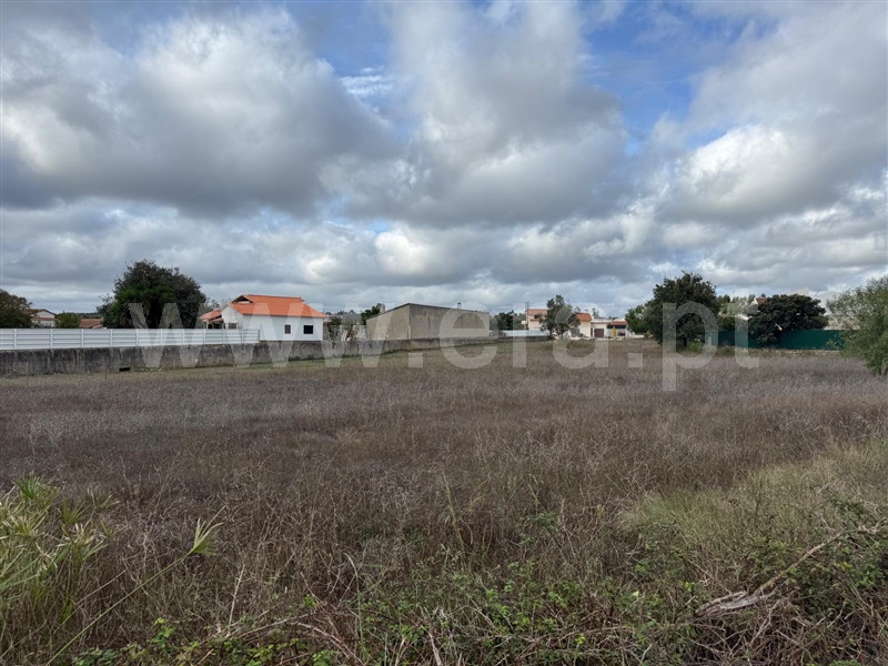 Terreno para Construção / Alcobaça, Benedita