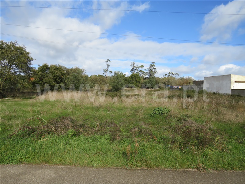Terreno para Construção / Alcobaça, Turquel