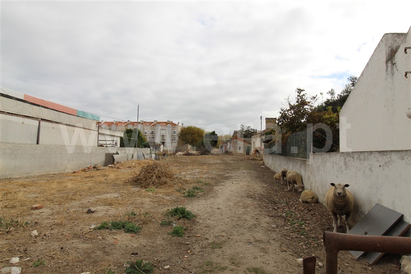 Terreno para Construção / Alcochete, São Francisco