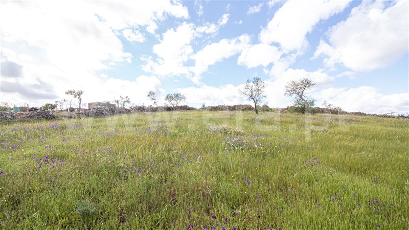 Terreno para Construção  Alcoutim, Pereiro - 1194664 - 13