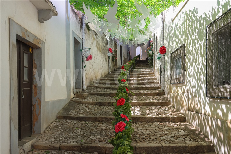 Terreno para Construção  com Urbano Alenquer, Alenquer (Santo Estêvão e Triana) - 1489802 - 12