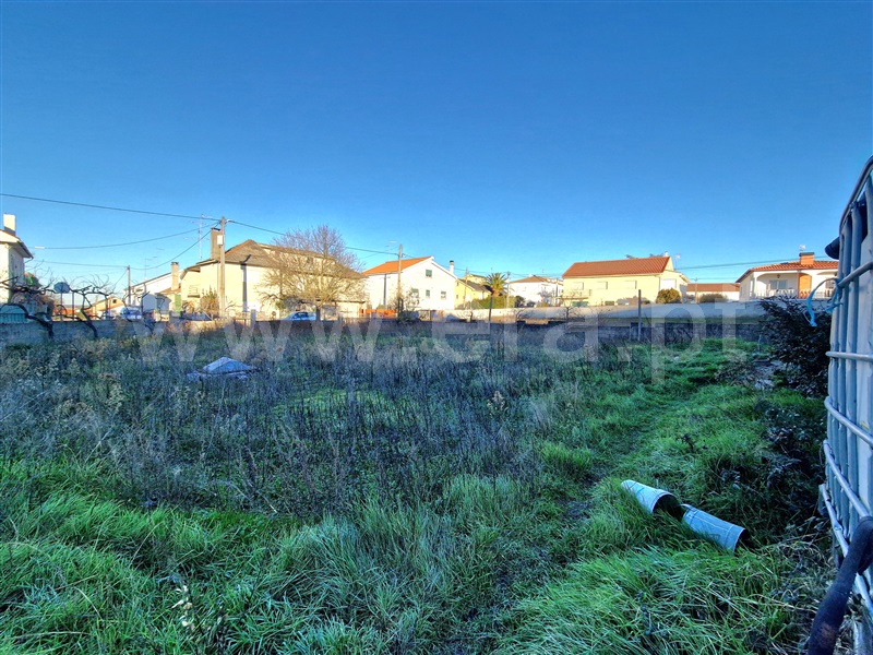 Terreno para Construção  Almeida, Centro - 1452492 - 1