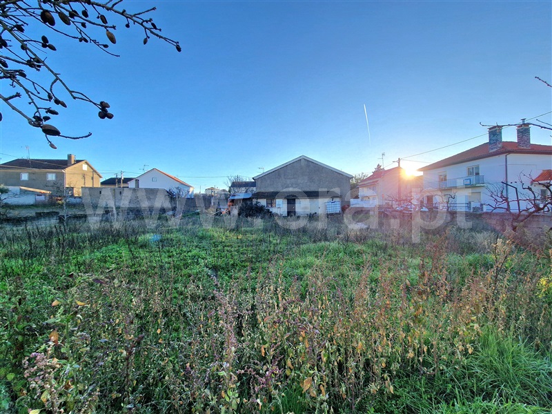 Terreno para Construção  Almeida, Centro - 1452492 - 5