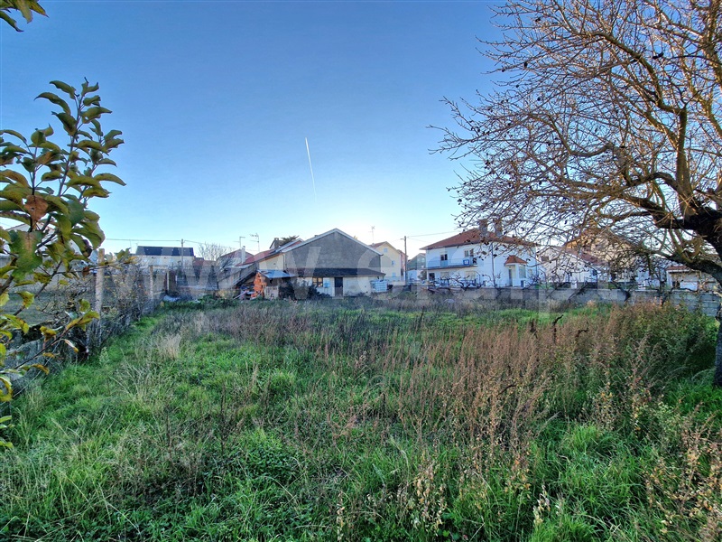 Terreno para Construção  Almeida, Centro - 1452492 - 6