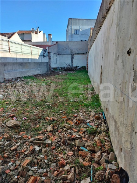 Armazém  Almeirim - 1456031 - 5
