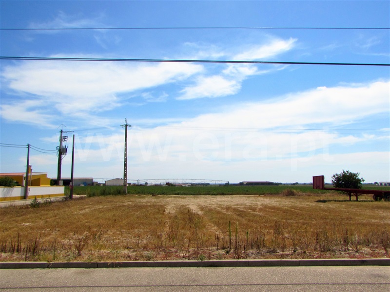 Terreno para Construção / Almeirim, Cortiçóis