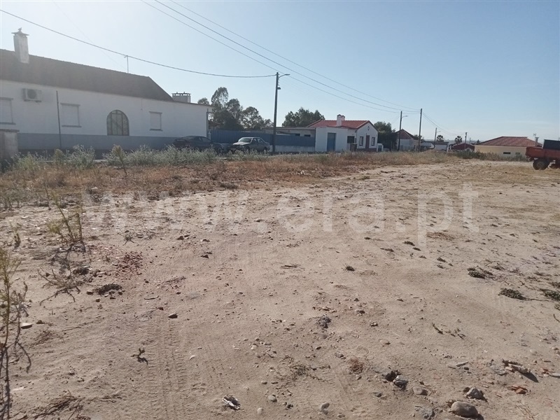 Lote  Almeirim, Fazendas de Almeirim - 1159046 - 2
