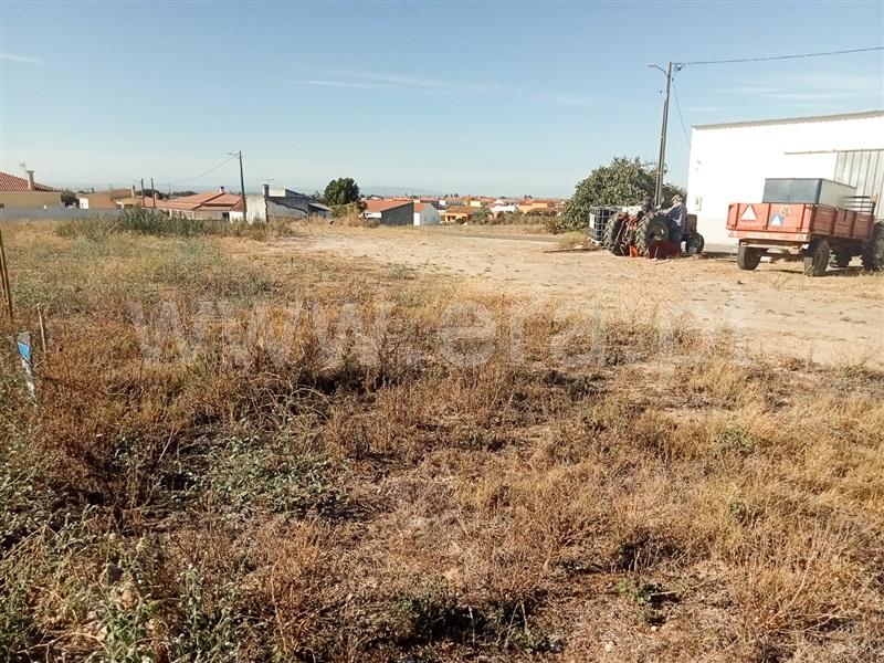Terreno para Construção / Almeirim, Fazendas de Almeirim