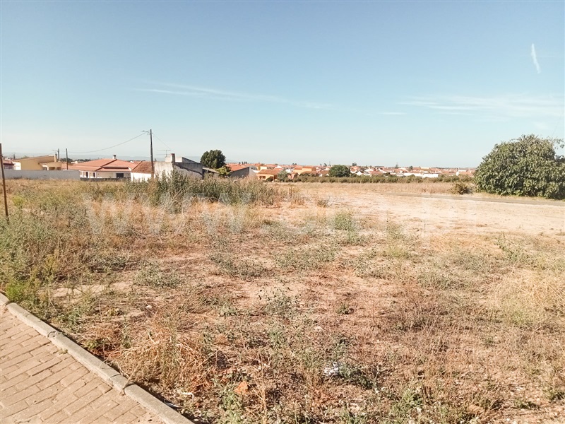 Terreno para Construção  Almeirim, Fazendas de Almeirim - 1161909 - 2
