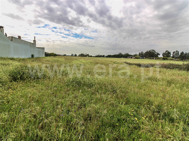 Terreno para Construção  Alpiarça - 1239088 - 2
