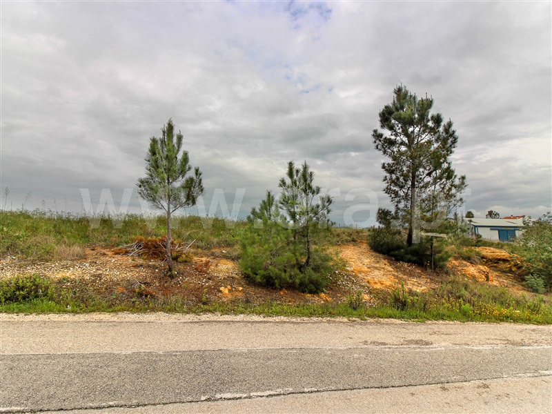 Terreno para Construção / Alpiarça, Alpiarça