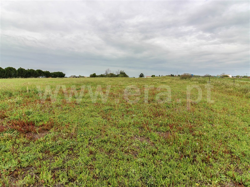 Terreno para Construção  Alpiarça - 1239088 - 8