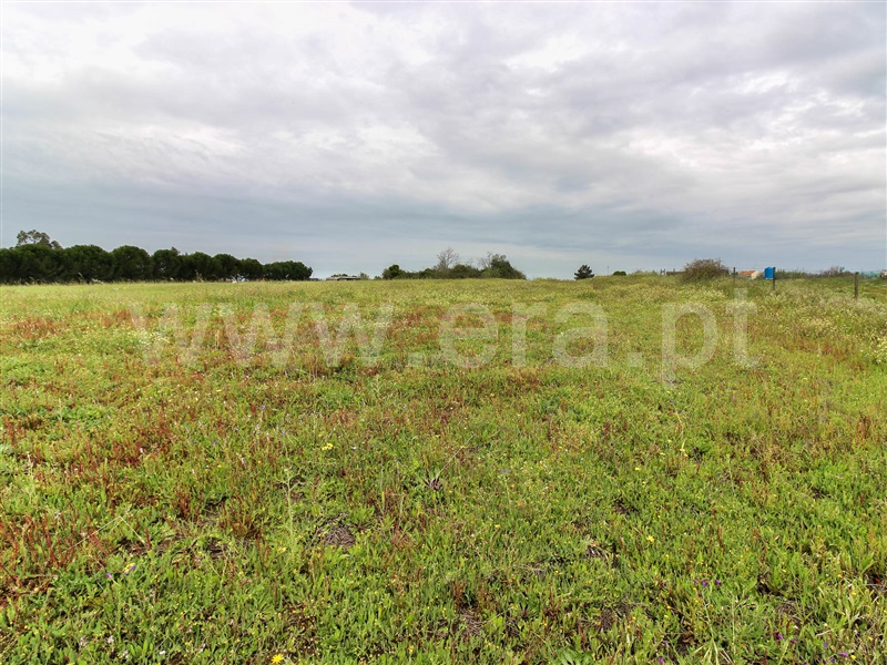 Terreno para Construção  Alpiarça - 1239088 - 11