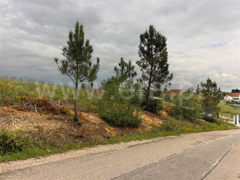 Terreno para Construção  Alpiarça - 1239088 - 12