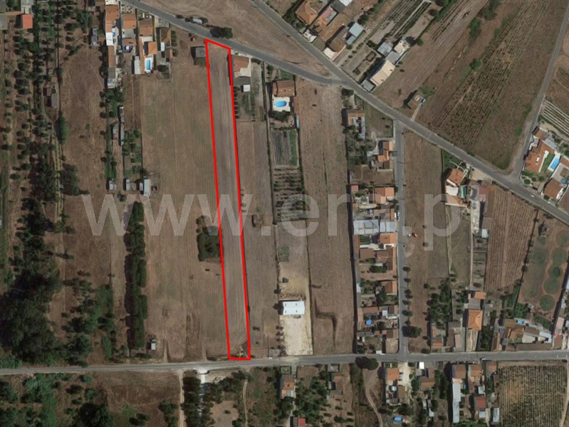 Terreno para Construção  Alpiarça - 1239088 - 13