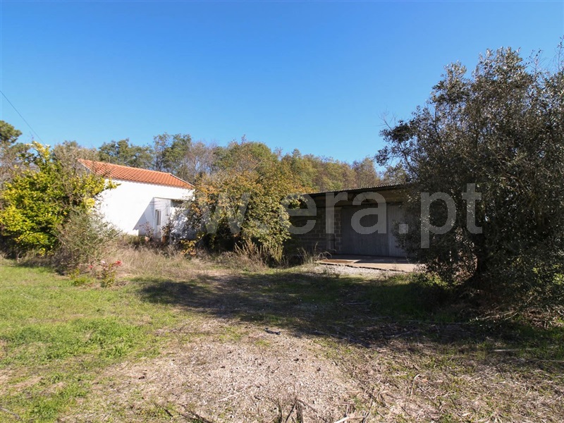 Terreno para Construção / Alpiarça, Alpiarça