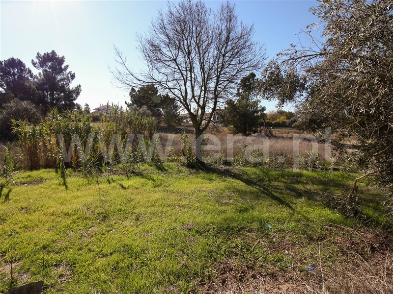 Terreno para Construção  Alpiarça, Alpiarça - 853648 - 2