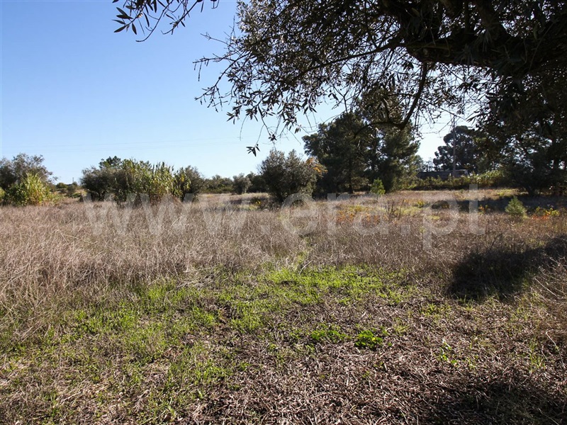 Terreno para Construção  Alpiarça, Alpiarça - 853648 - 7