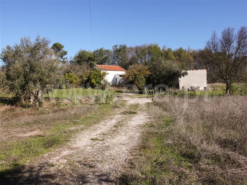 Terreno para Construção  Alpiarça, Alpiarça - 853648 - 8