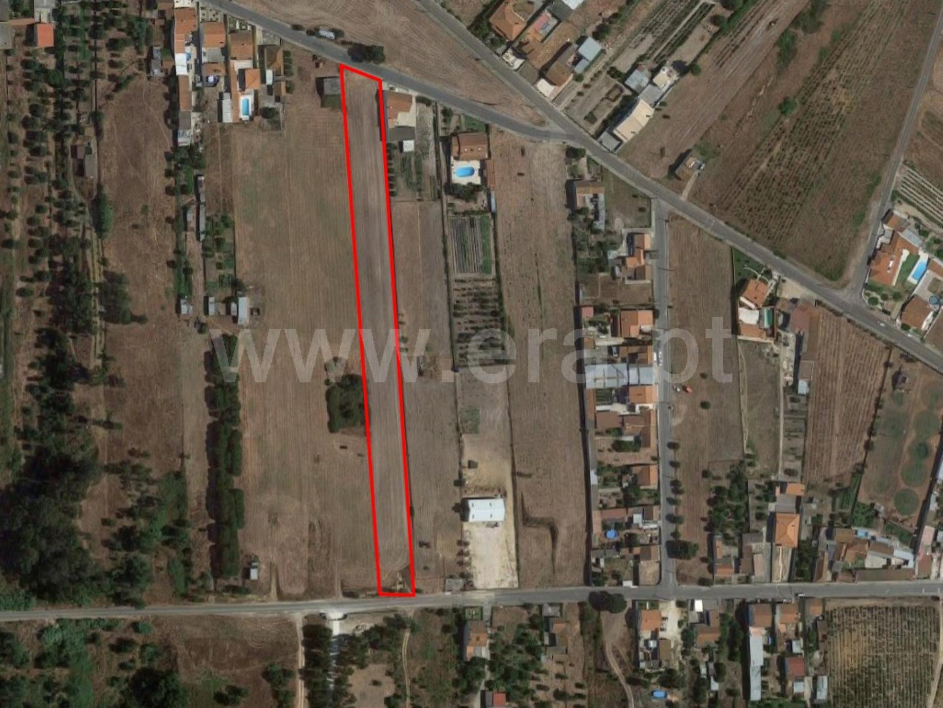 Land for sale in Alpiarça, Portugal — €59,000