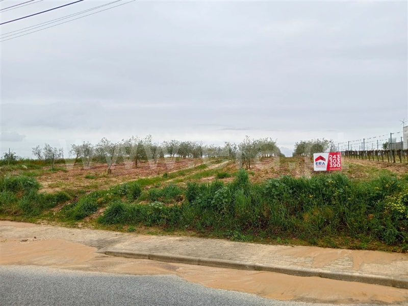 Terreno para Construção / Alpiarça, Frade de Cima