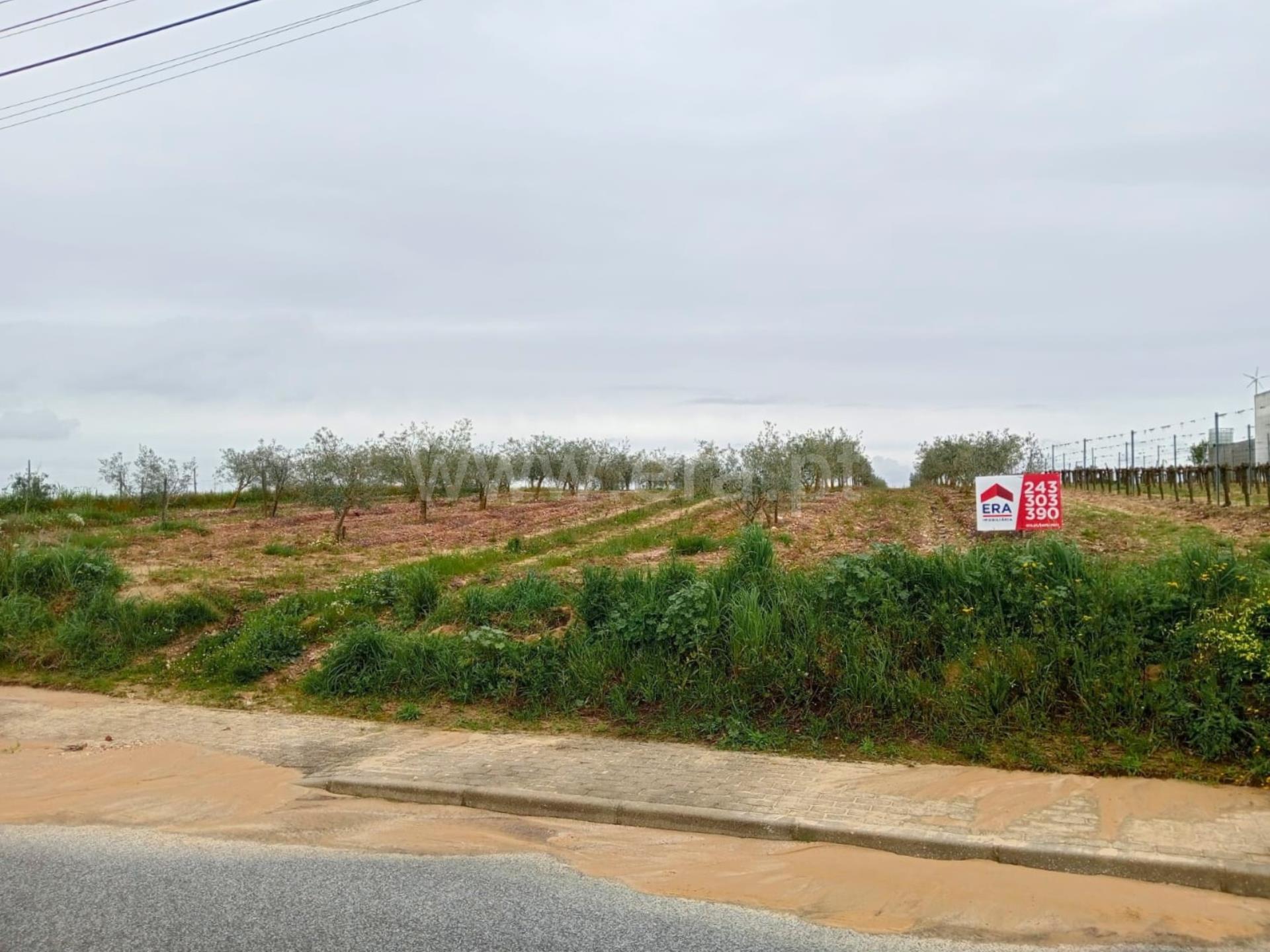 Land for sale in Alpiarça, Portugal — €260,000