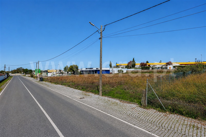 Terreno para Construção / Alter do Chão, Alter do Chão