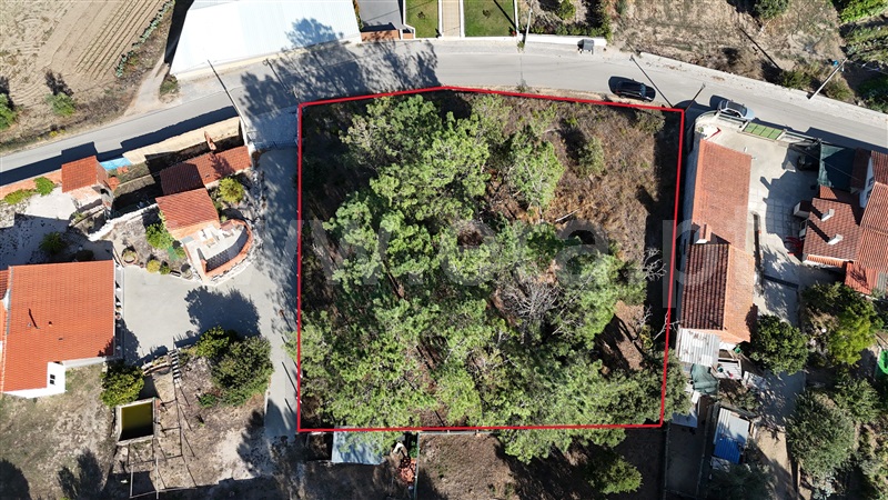 Terreno para Construção  Alvaiázere, Almoster - 1509866 - 5