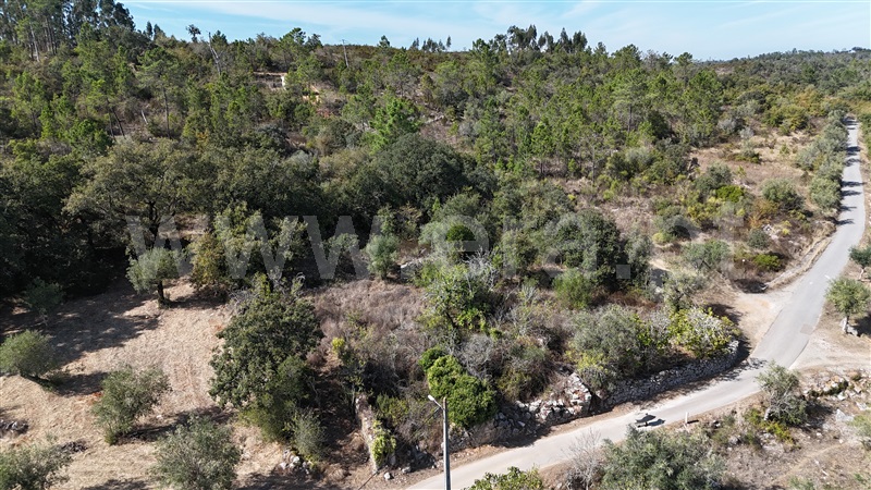 Terreno para Construção / Alvaiázere, Almoster