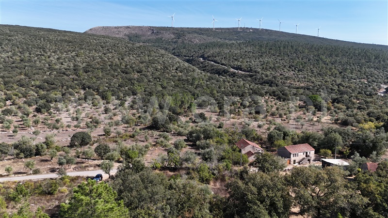 Terreno para Construção  Alvaiázere, Almoster - 1509868 - 3