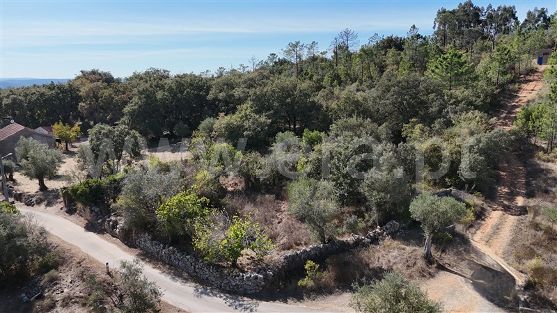 Terreno para Construção  Alvaiázere, Almoster - 1509868 - 5